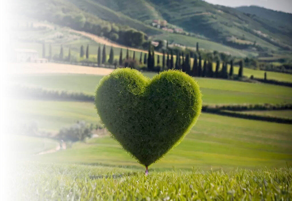 Contimmobiliare affitti turistici